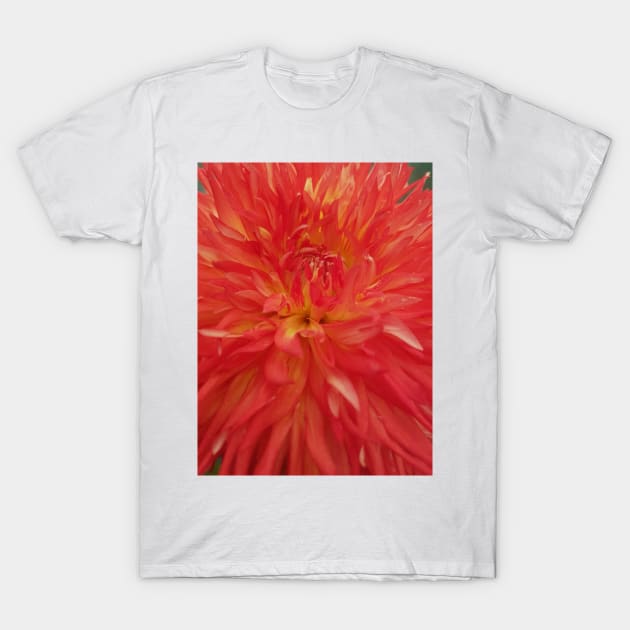 Orange Floral T-Shirt by RFMDesigns